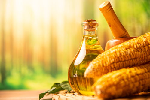 廚房里的視覺藝術(shù) 玻璃壺與食用油的攝影之美