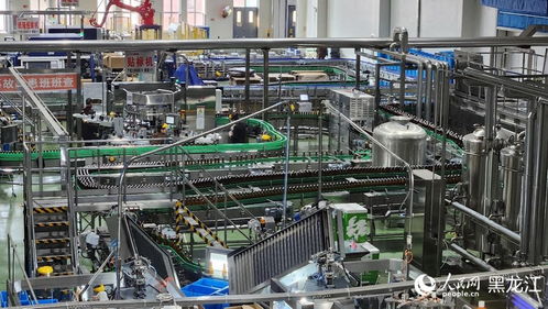 民營企業進邊疆，共尋龍江熱土發展機遇——生物技術研發的藍海與擔當