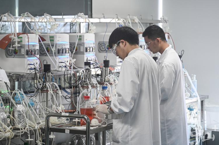 國產抗癌藥登頂全球之巔 中山藥企迎來生物技術行業的“DeepSeek時刻”