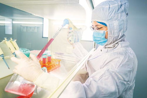 探索生物技術研發新路徑 東楚網的創新實踐與未來展望